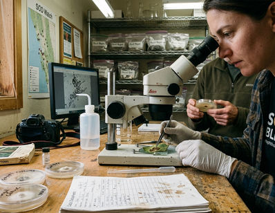 A citizen-science hub and environmental resource dedicated to monitoring, preventing, and educating